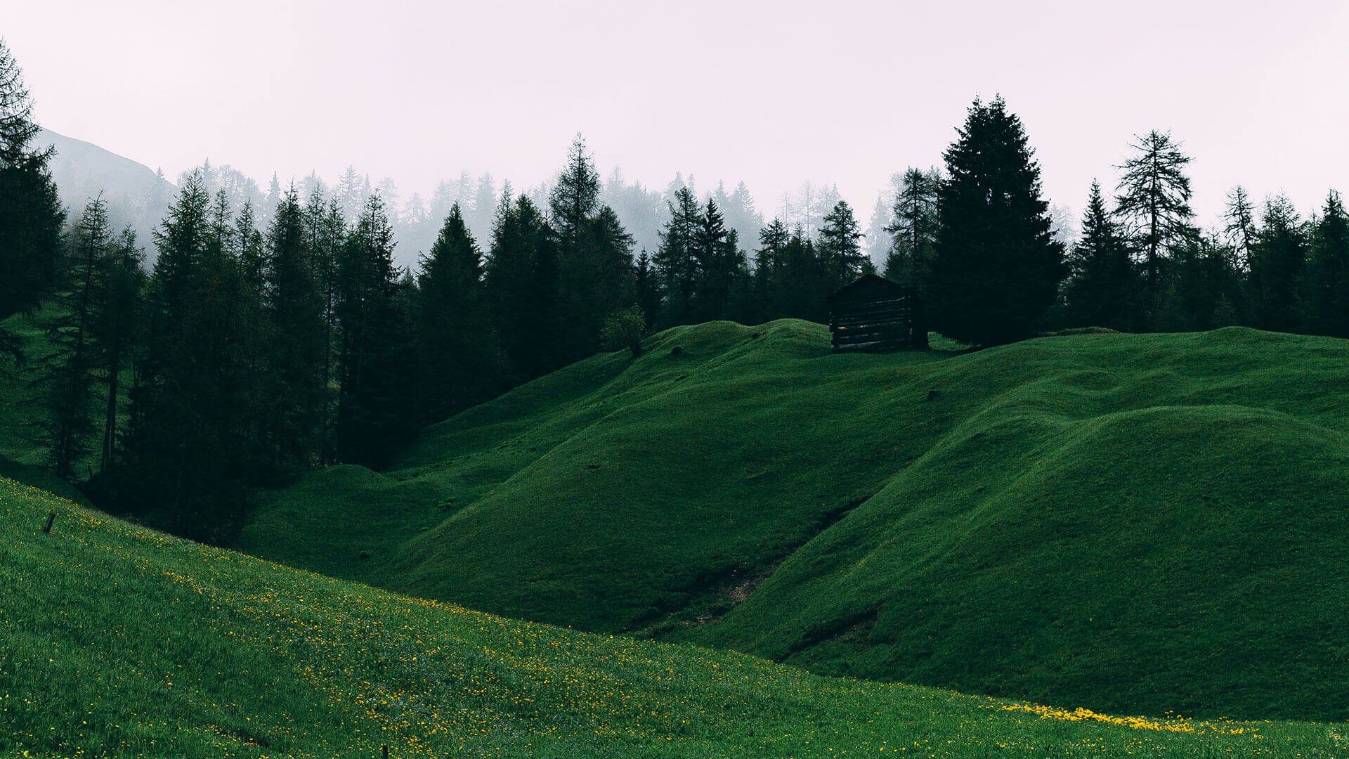 Sisu Coastal Wellness clinic in Astoria, Oregon